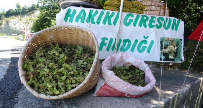 Haber gorseli